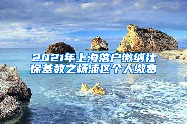 2021年上海落户缴纳社保基数之杨浦区个人缴费