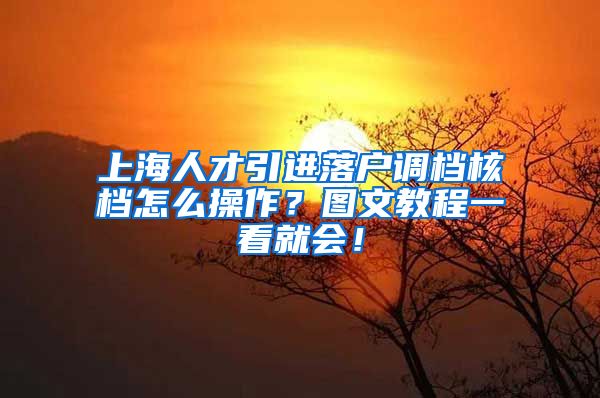 上海人才引进落户调档核档怎么操作？图文教程一看就会！