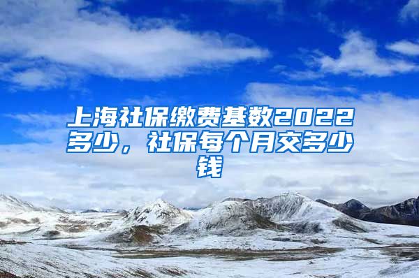 上海社保缴费基数2022多少，社保每个月交多少钱