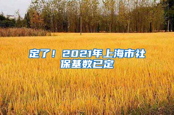 定了！2021年上海市社保基数已定