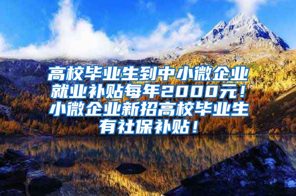 高校毕业生到中小微企业就业补贴每年2000元！小微企业新招高校毕业生有社保补贴！