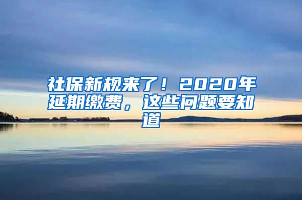 社保新规来了！2020年延期缴费，这些问题要知道