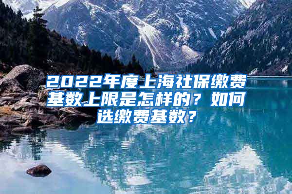 2022年度上海社保缴费基数上限是怎样的？如何选缴费基数？