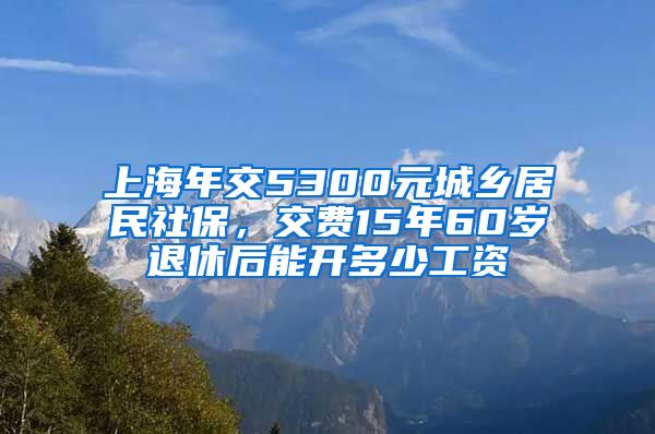 上海年交5300元城乡居民社保，交费15年60岁退休后能开多少工资