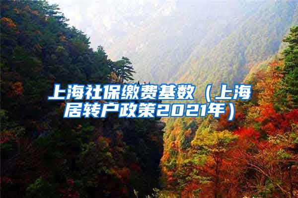 上海社保缴费基数（上海居转户政策2021年）