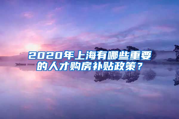 2020年上海有哪些重要的人才购房补贴政策？