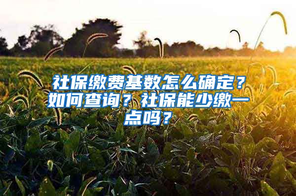 社保缴费基数怎么确定？如何查询？社保能少缴一点吗？