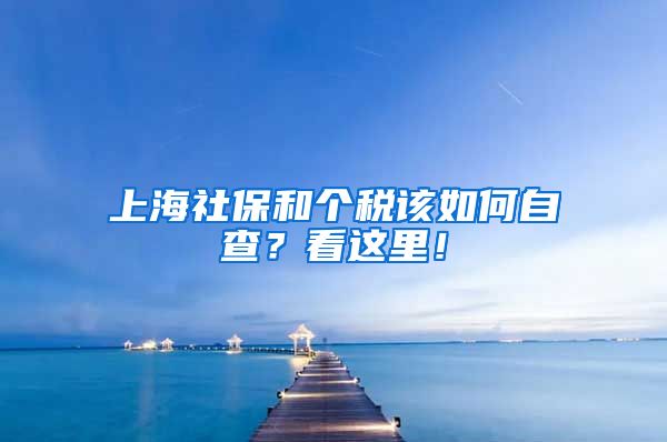 上海社保和个税该如何自查？看这里！