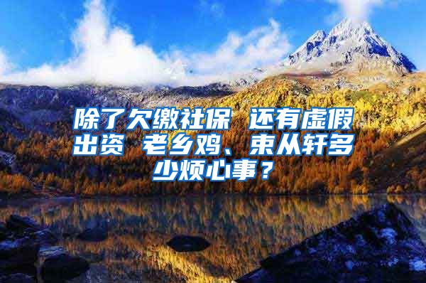 除了欠缴社保 还有虚假出资 老乡鸡、束从轩多少烦心事？