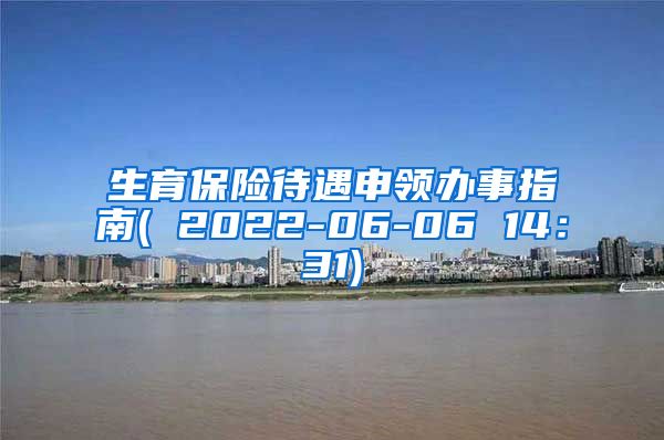 生育保险待遇申领办事指南( 2022-06-06 14：31)