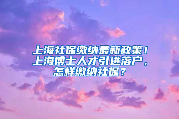 上海社保缴纳最新政策！上海博士人才引进落户，怎样缴纳社保？