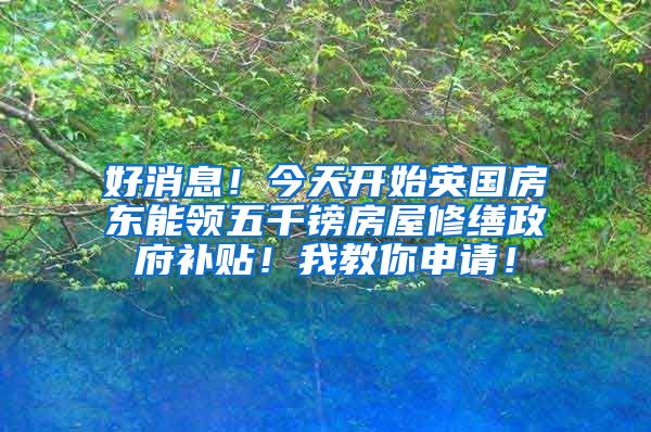 好消息！今天开始英国房东能领五千镑房屋修缮政府补贴！我教你申请！