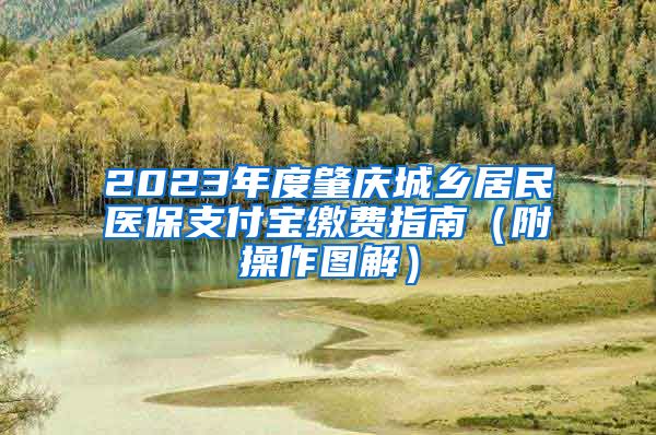 2023年度肇庆城乡居民医保支付宝缴费指南（附操作图解）