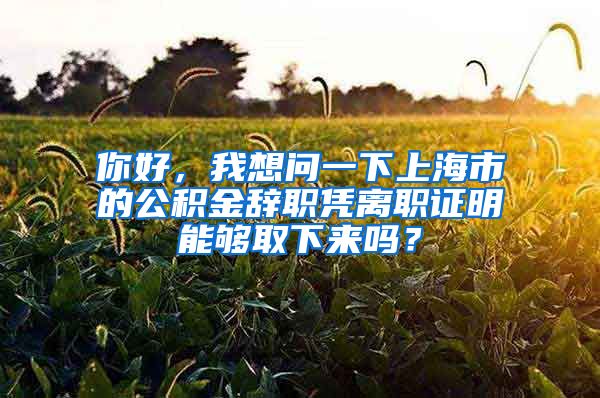 你好，我想问一下上海市的公积金辞职凭离职证明能够取下来吗？