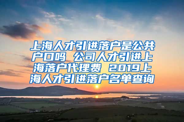 上海人才引进落户是公共户口吗 公司人才引进上海落户代理费 2019上海人才引进落户名单查询