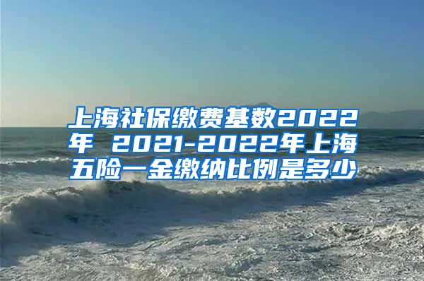 上海社保缴费基数2022年 2021-2022年上海五险一金缴纳比例是多少