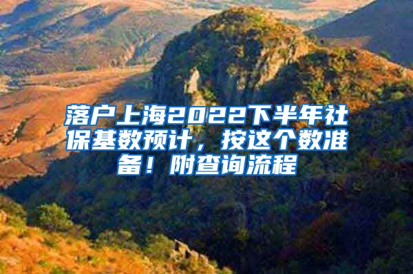 落户上海2022下半年社保基数预计，按这个数准备！附查询流程