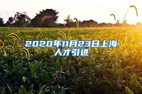 2020年11月23日上海人才引进