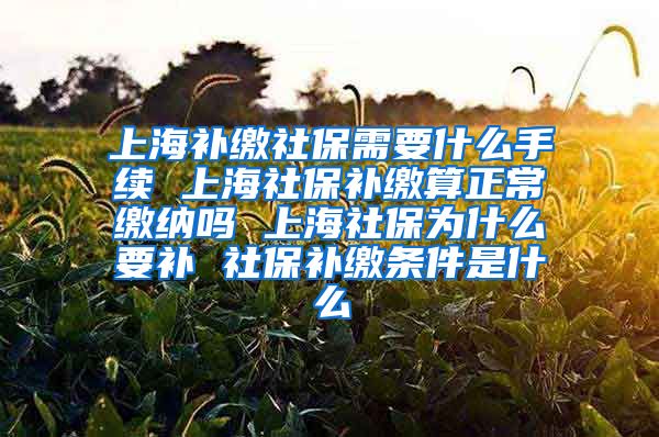 上海补缴社保需要什么手续 上海社保补缴算正常缴纳吗 上海社保为什么要补 社保补缴条件是什么