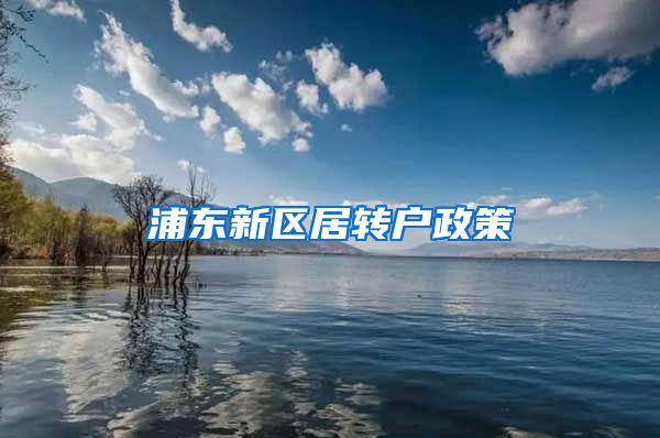 浦东新区居转户政策