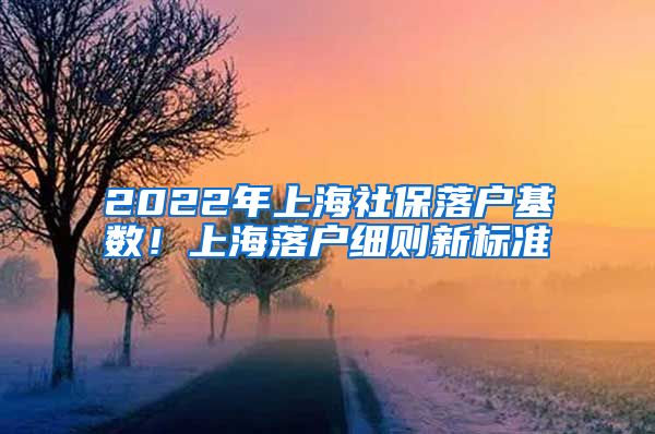 2022年上海社保落户基数！上海落户细则新标准