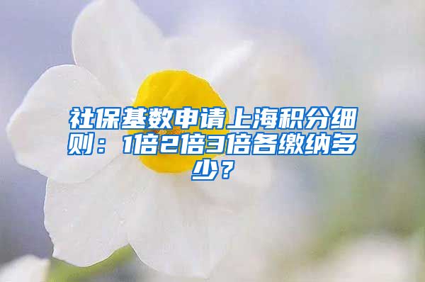 社保基数申请上海积分细则：1倍2倍3倍各缴纳多少？