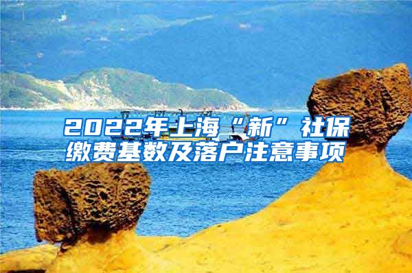 2022年上海“新”社保缴费基数及落户注意事项