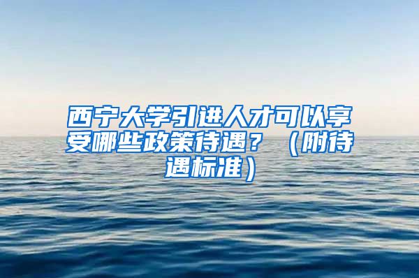 西宁大学引进人才可以享受哪些政策待遇？（附待遇标准）