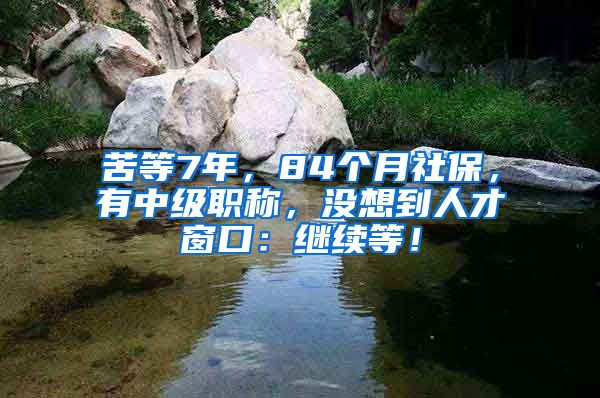 苦等7年，84个月社保，有中级职称，没想到人才窗口：继续等！