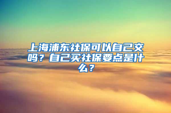 上海浦东社保可以自己交吗？自己买社保要点是什么？