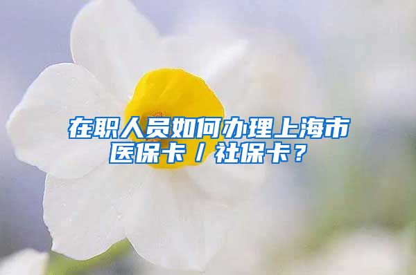 在职人员如何办理上海市医保卡／社保卡？