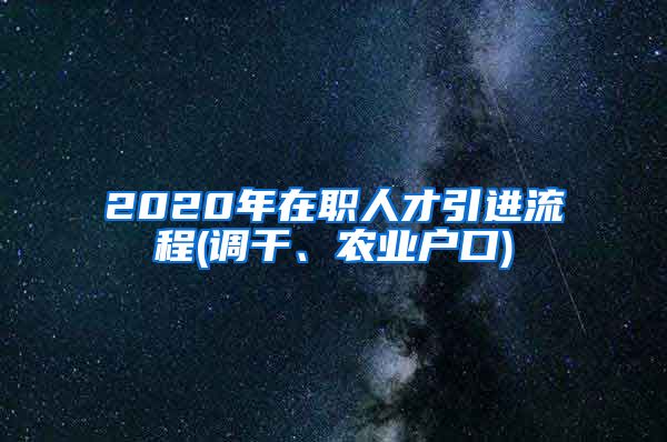 2020年在职人才引进流程(调干、农业户口)