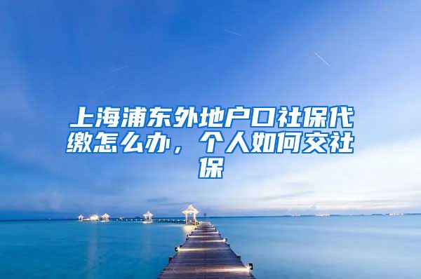 上海浦东外地户口社保代缴怎么办，个人如何交社保