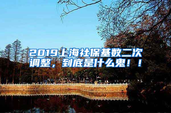 2019上海社保基数二次调整，到底是什么鬼！！