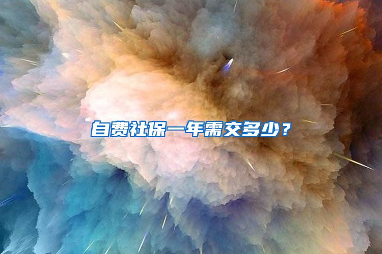 自费社保一年需交多少？