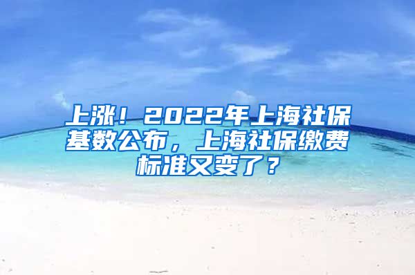 上涨！2022年上海社保基数公布，上海社保缴费标准又变了？