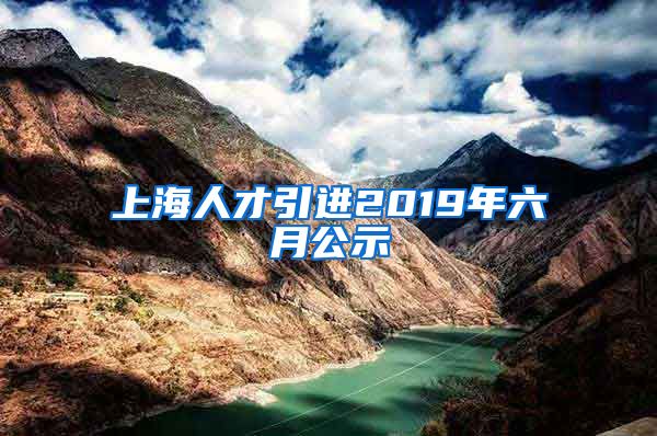 上海人才引进2019年六月公示