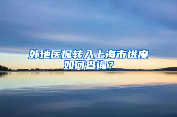 外地医保转入上海市进度如何查询？