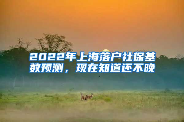 2022年上海落户社保基数预测，现在知道还不晚