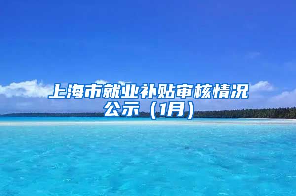 上海市就业补贴审核情况公示（1月）