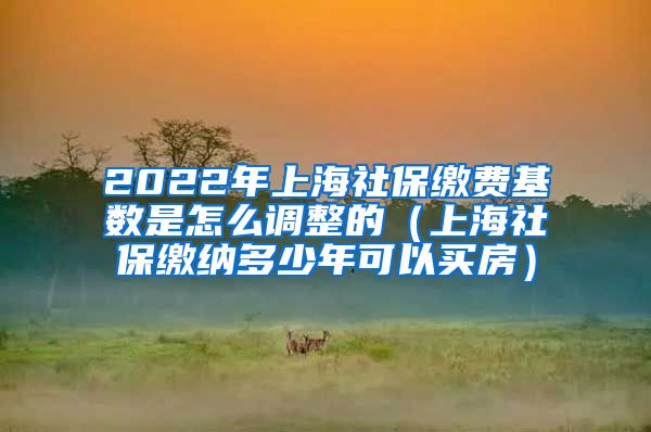 2022年上海社保缴费基数是怎么调整的（上海社保缴纳多少年可以买房）