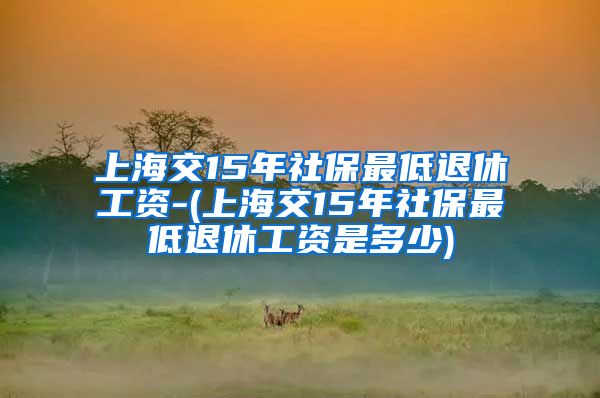 上海交15年社保最低退休工资-(上海交15年社保最低退休工资是多少)