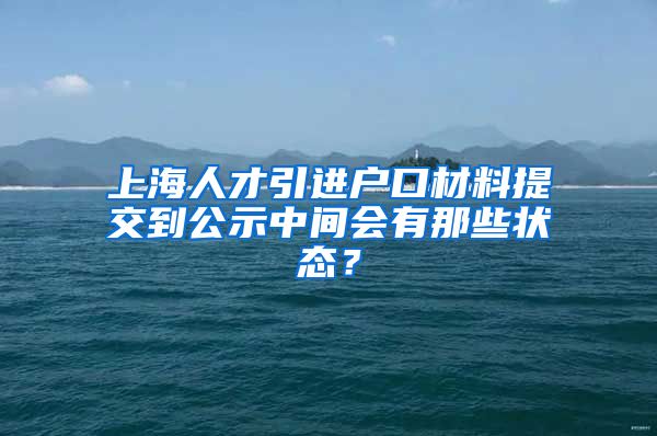 上海人才引进户口材料提交到公示中间会有那些状态？