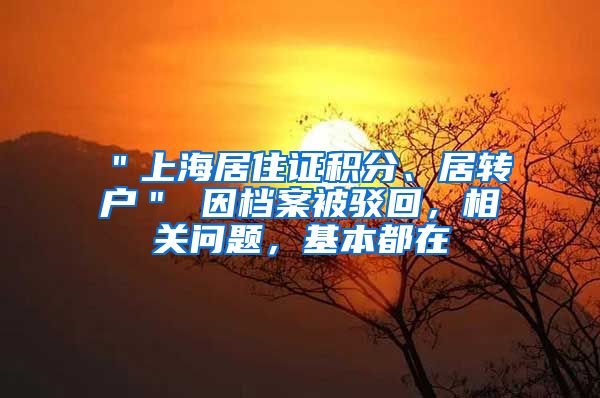 ＂上海居住证积分、居转户＂ 因档案被驳回，相关问题，基本都在