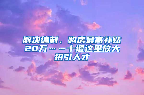 解决编制、购房最高补贴20万……十堰这里放大招引人才