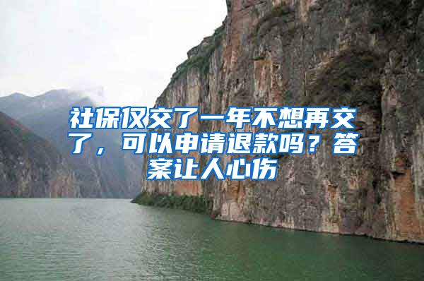 社保仅交了一年不想再交了，可以申请退款吗？答案让人心伤