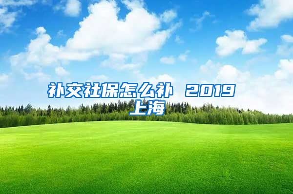 补交社保怎么补 2019 上海