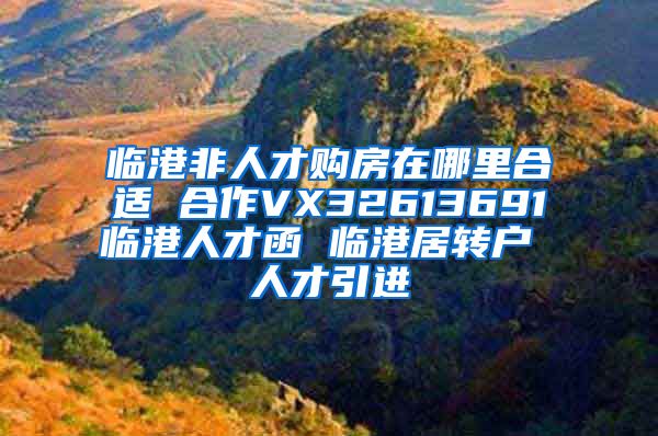 临港非人才购房在哪里合适 合作VX32613691临港人才函 临港居转户 人才引进