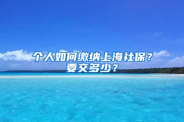 个人如何缴纳上海社保？要交多少？