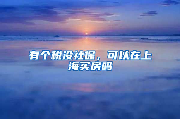 有个税没社保，可以在上海买房吗